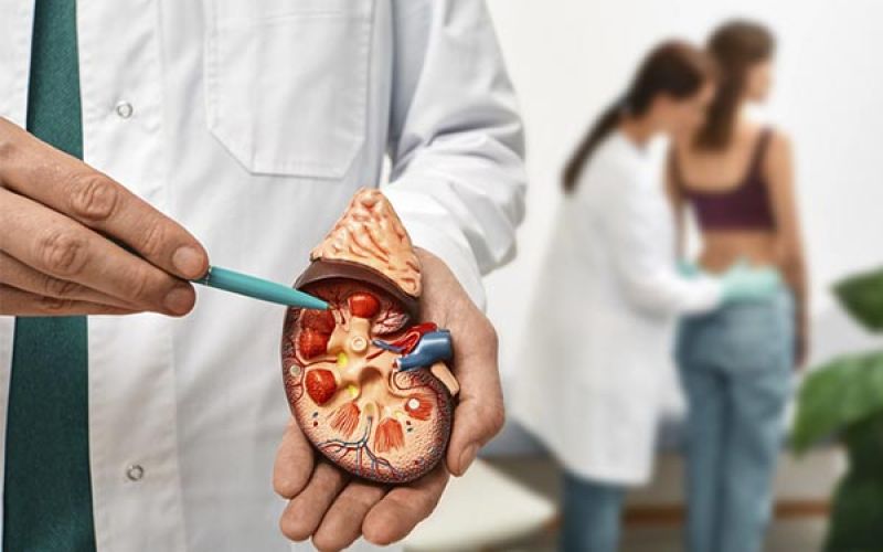  Sndrome nefrtica: entenda mais sobre essa doena renal